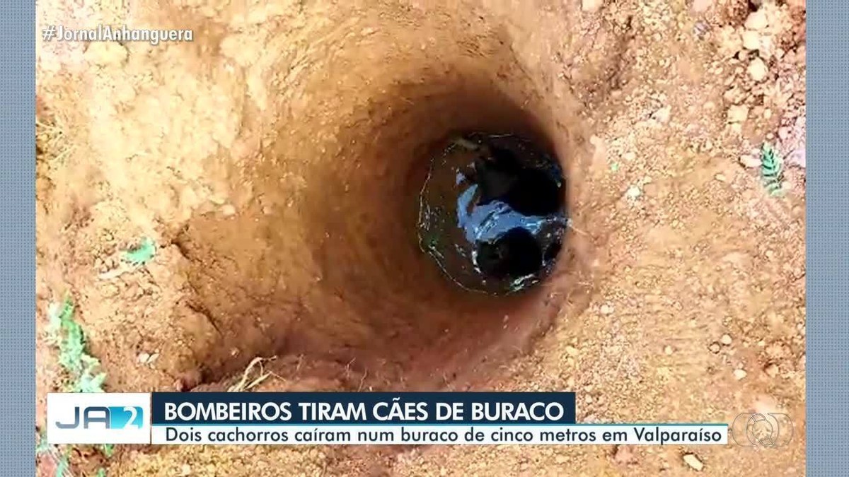 Já conhece todas as funcionalidades do nosso aplicativo de Buraco