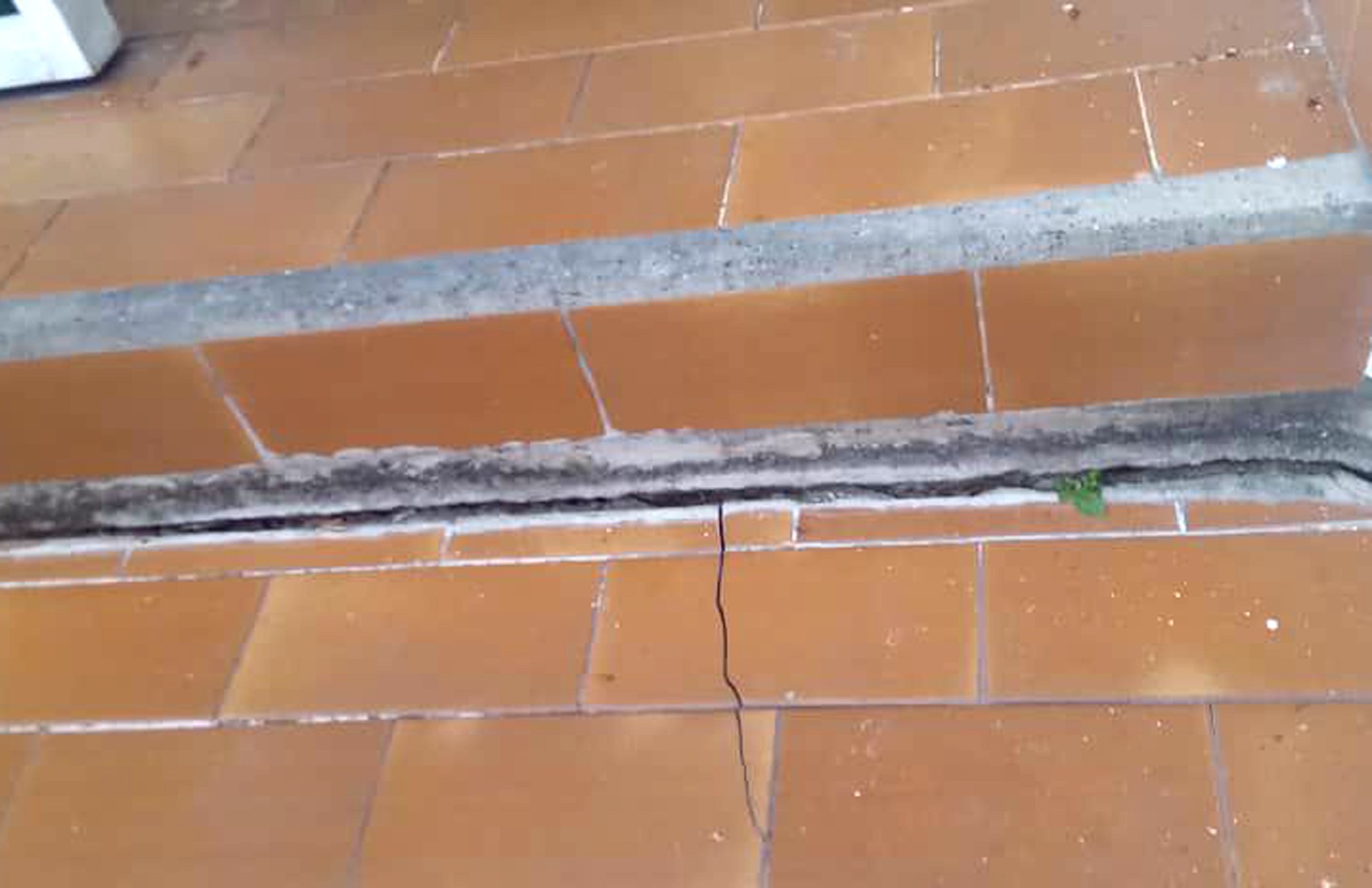 'Parecia que estavam tirando o piso da casa', diz venezuelana sobre susto da família com terremoto em Caracas