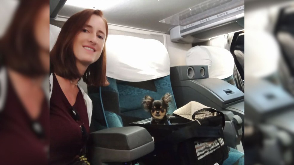 Com o chihuahua Ravi, Labibi já havia feito viagens até de ônibus — Foto: Reprodução/Instagram