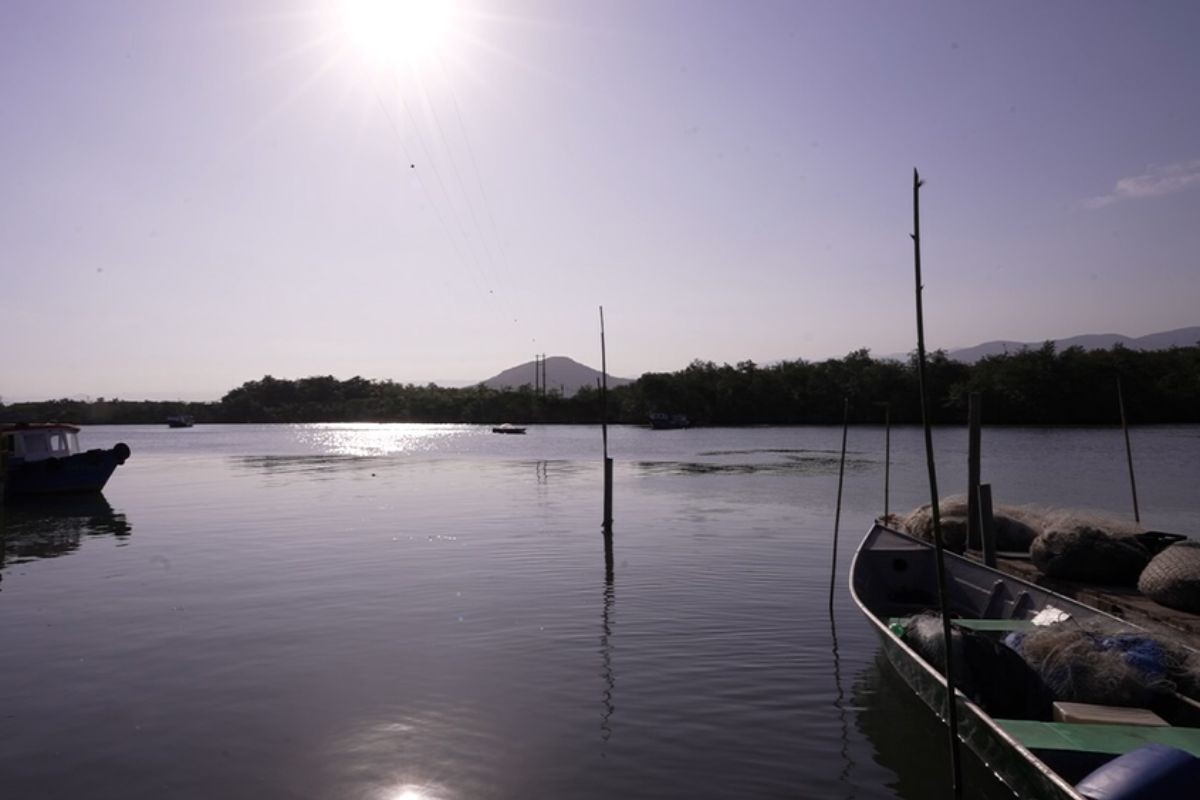 Ilha com 200 habitantes em SP tem peixe azul-marinho 'instagramável' e construiu capela em apenas 2 dias; veja