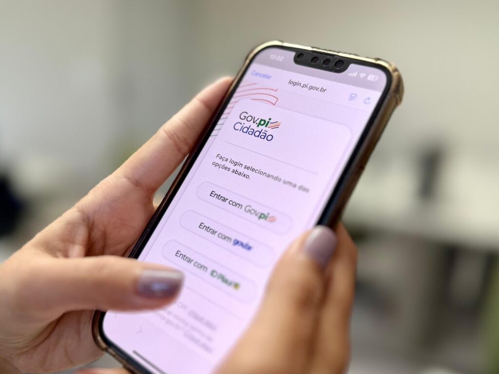 População pode utilizar serviços do Gov.pi Cidadão durante o Carnaval; confira!