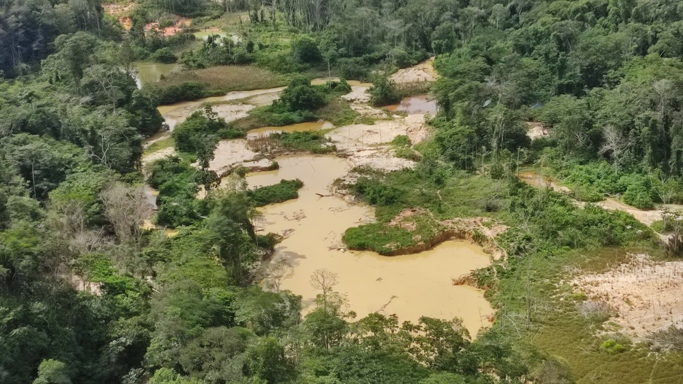 Área destruída pelo garimpo ilegal na região do Rio Catrimani, na Terra Yanomami. — Foto: Ailton Alves/Rede Amazônica