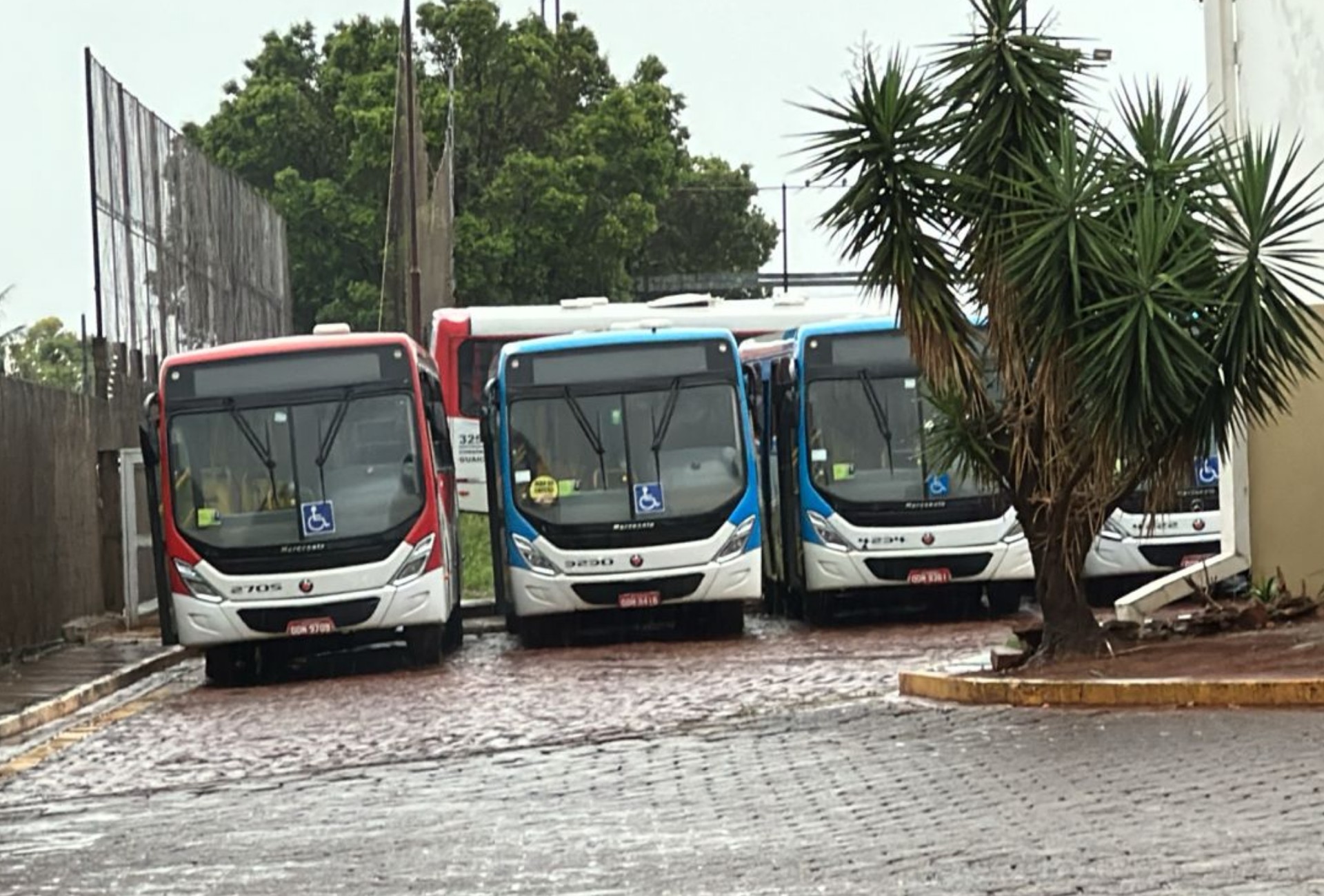 Sem acordo, motoristas decidem continuar greve dos ônibus em Campo Grande