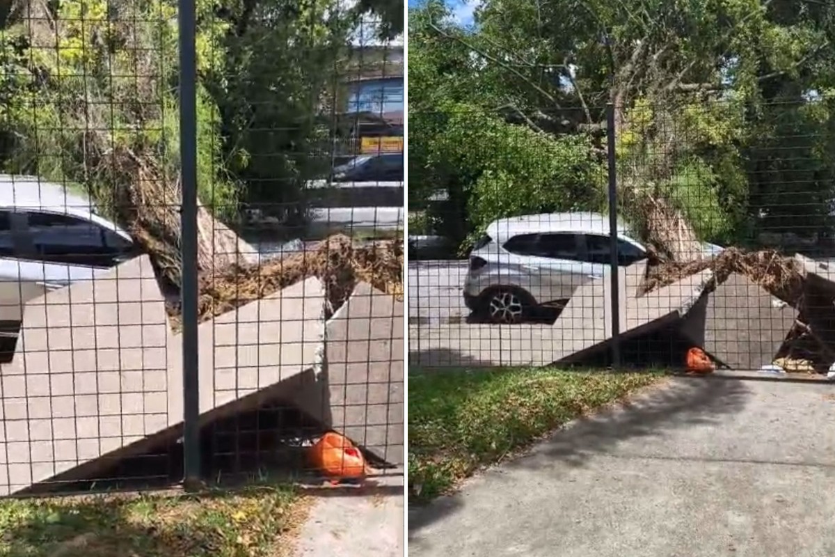 Ventania de até 97 km/h causa interdições, quedas de árvores e destelhamentos na Baixada Santista