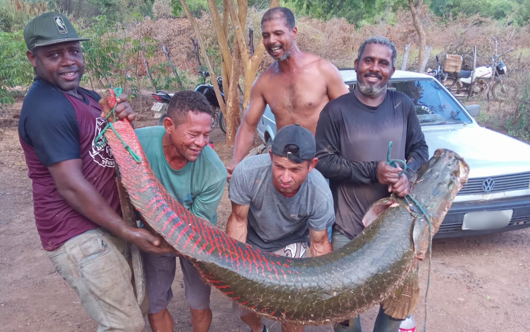 Grupo Pesca Peixe Gigante de 80 kg e dois metros de agora comporo em rio na bahia | Bahia