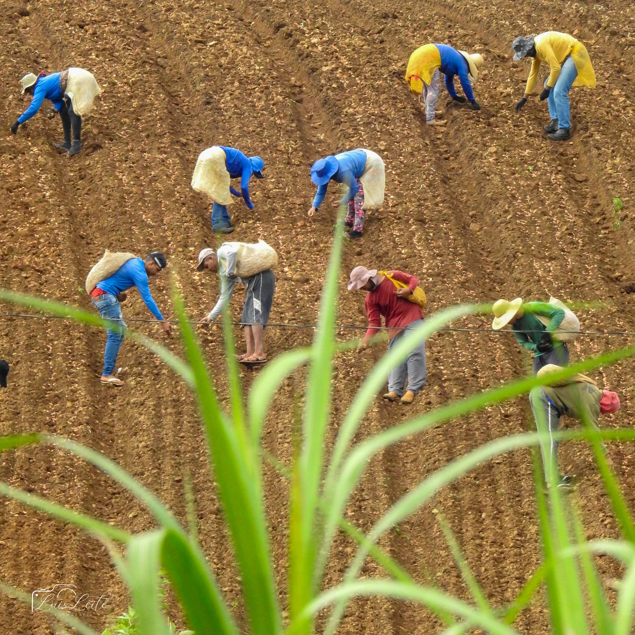 Dia do Fotografia: trabalhador rural encanta com belas imagens da vida ...