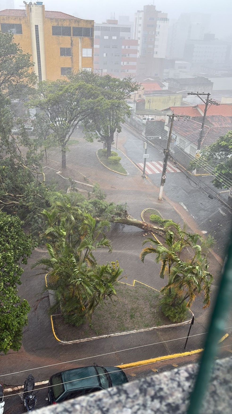 Estragos da chuva em Pará de Minas — Foto: Reprodução de redes sociais