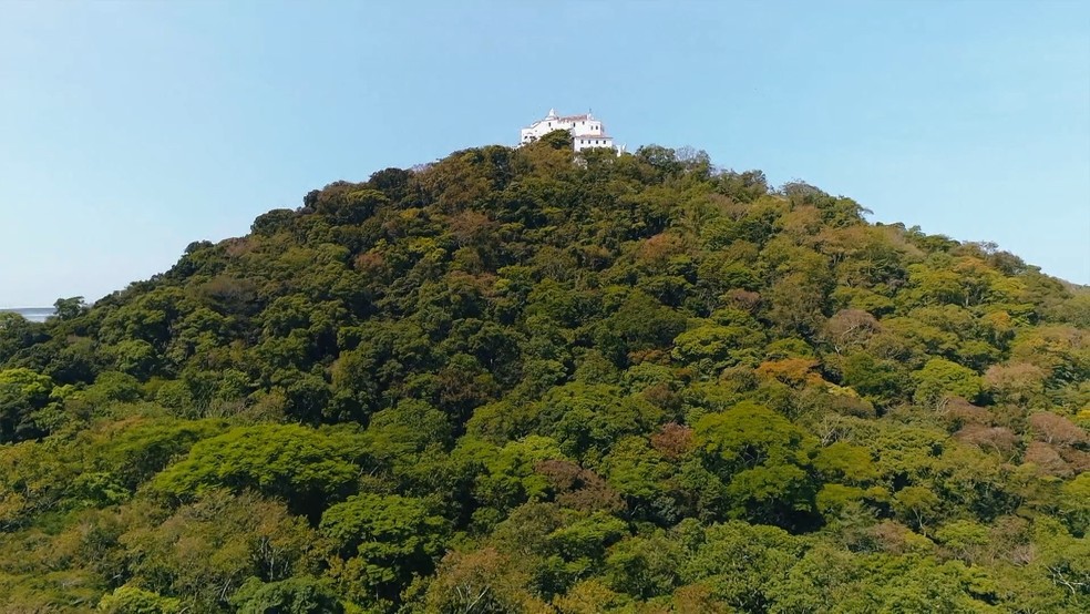 Ao redor do Convento da Penha, em Vila Velha, existe uma área de 50 hectares de Mata Atlântica preservada — Foto: TV Gazeta