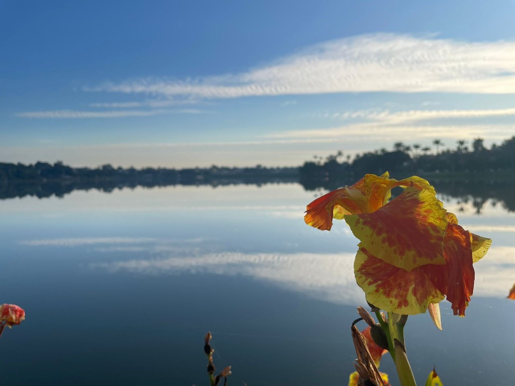 Parque Ecológico da Pampulha e Casa do Baile reabrem ao público em