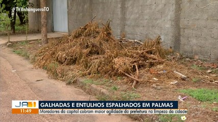 Moradores reclamam de demora no recolhimento de galhadas na região sul de Palmas