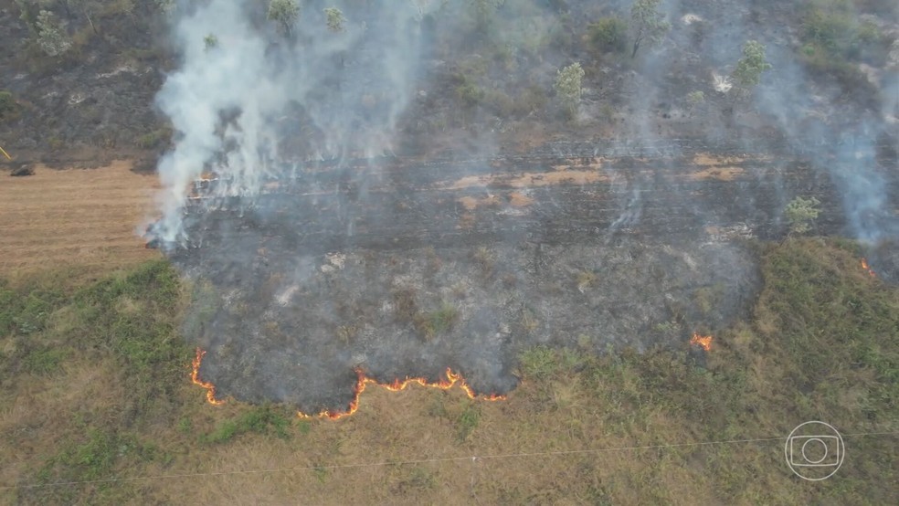 Entenda tcnica de combate aos focos de incndio no Pantanal em que bombeiros usam o fogo — Foto: Reproduo/TV Globo