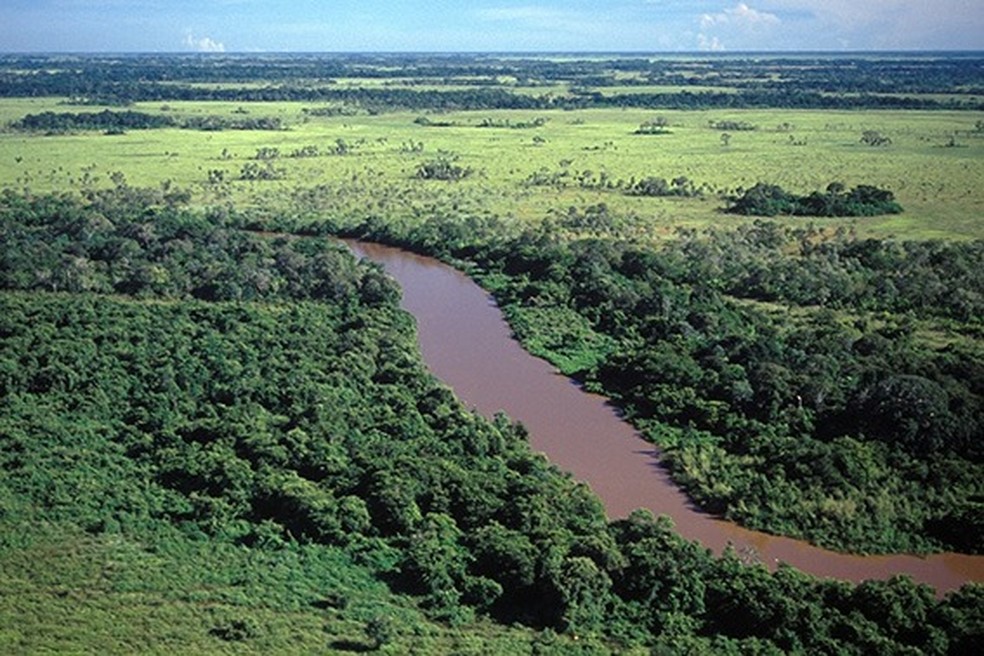 Trecho da Bacia Hidrográfica do Paraguai — Foto: Crédito: Zig Koch / Banco de Imagens ANA