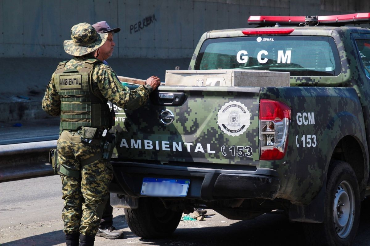 Rottweiler é encontrado morto com sinais de enforcamento no litoral de SP 