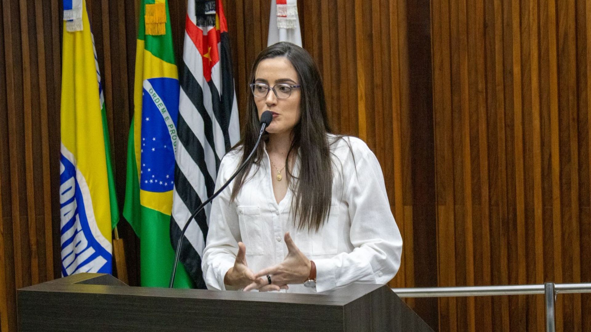 Vereadora de Lençóis Paulista denuncia supostos episódios de violência de gênero durante sessões da Câmara