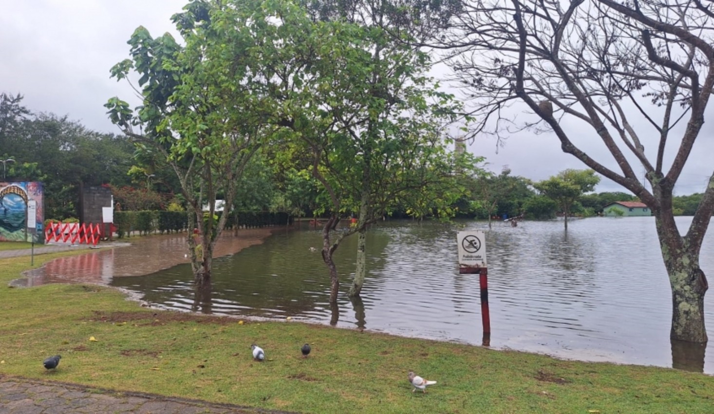 Parque Centenário é interditado após rio Tietê transbordar em Mogi das Cruzes