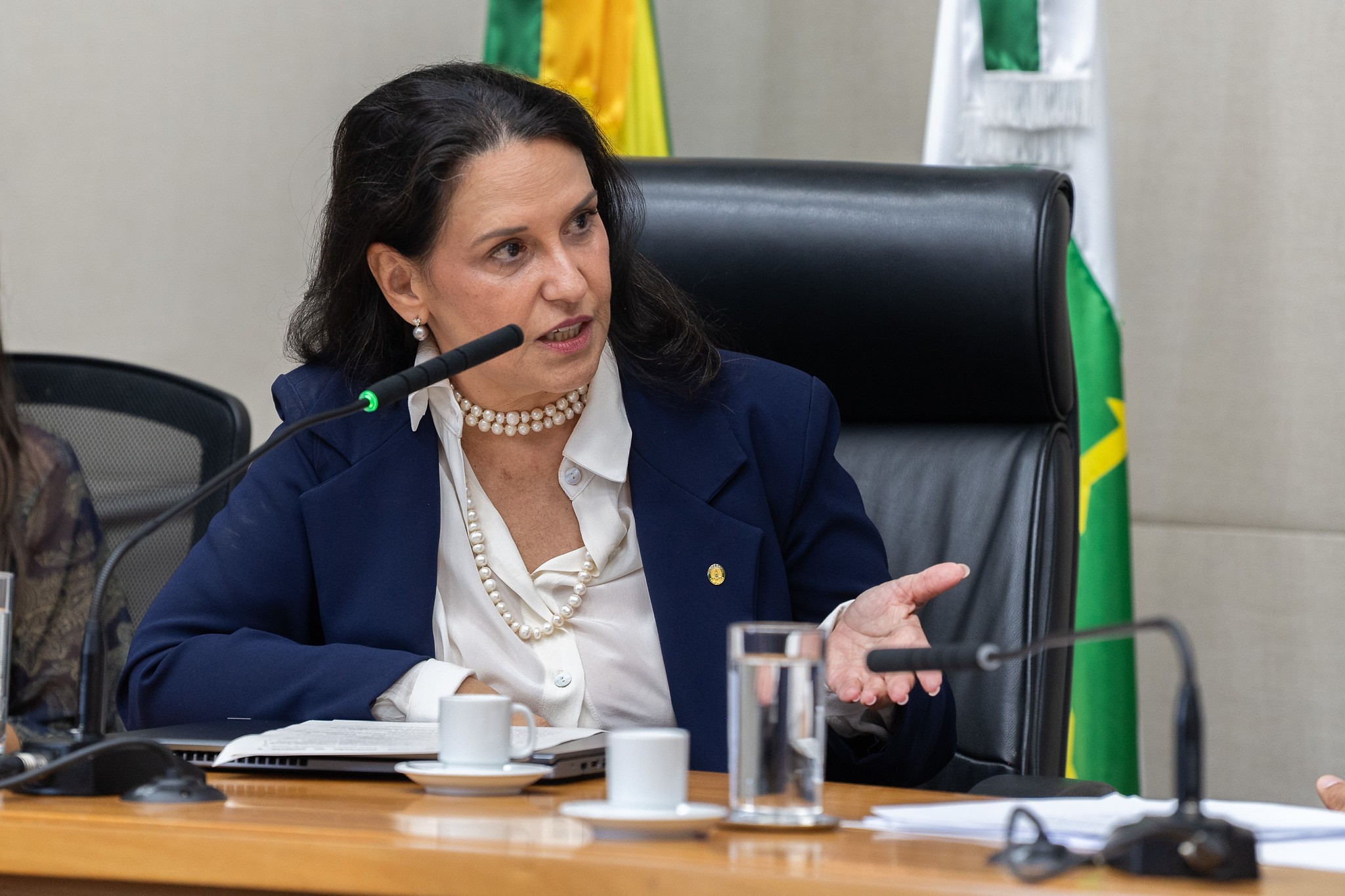 Diana de Almeida Ramos é nomeada a nova procuradora-geral do DF; saiba quem é