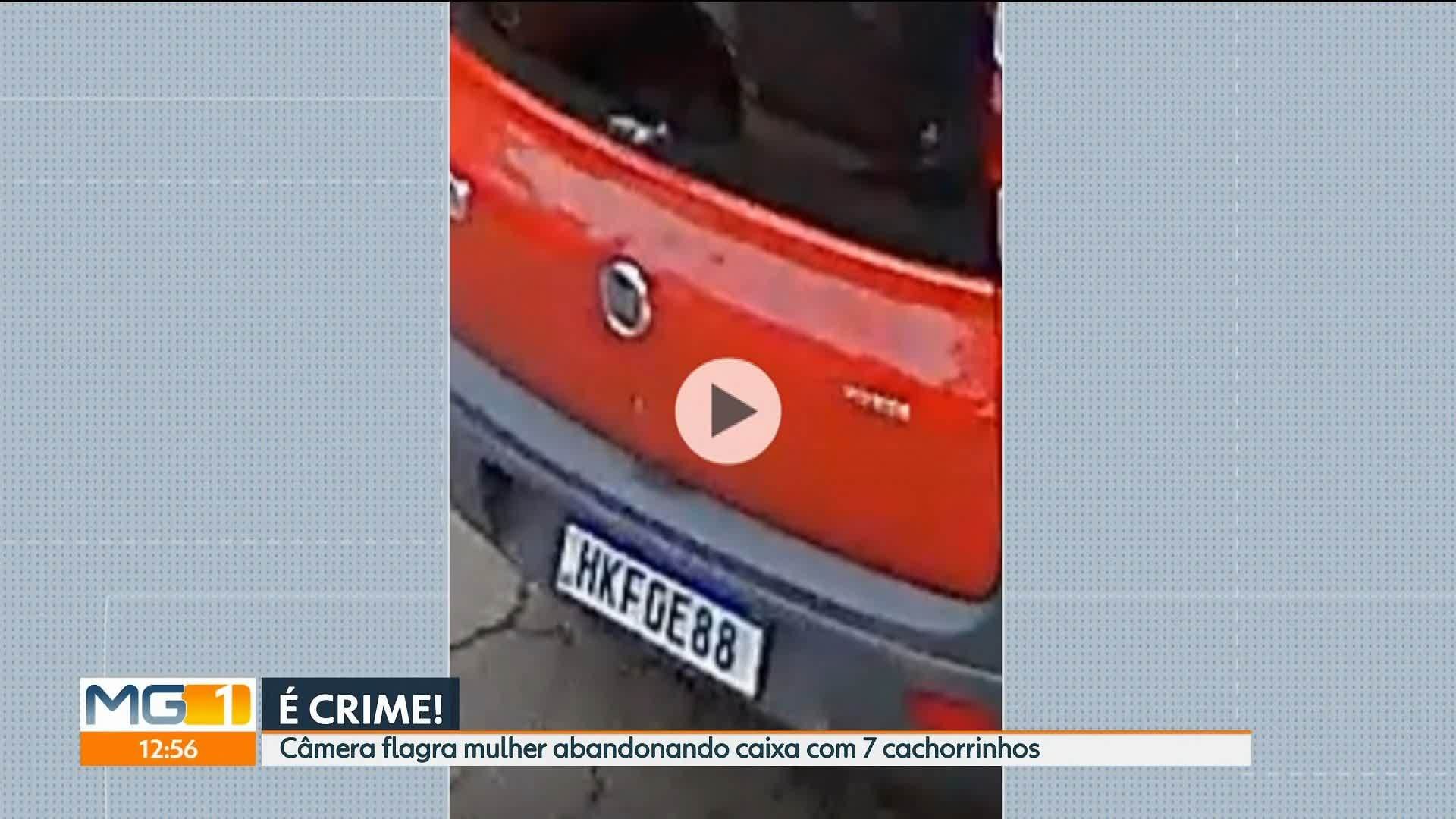 VÍDEOS: MG1 de terça-feira, 16 de dezembro de 2025