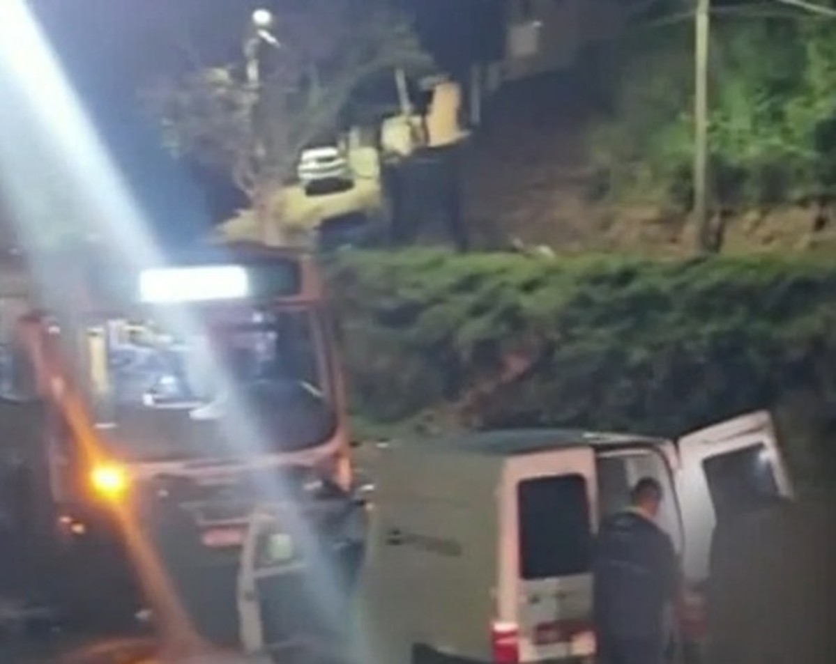Dois cavalos morrem após serem atropelados por ônibus na RJ-127, em Vassouras