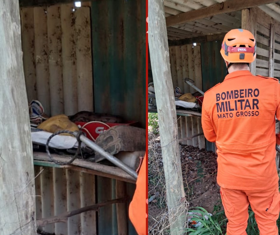 Jibóia é resgatada por bombeiros após moradores encontrarem animal em depósito em MT 