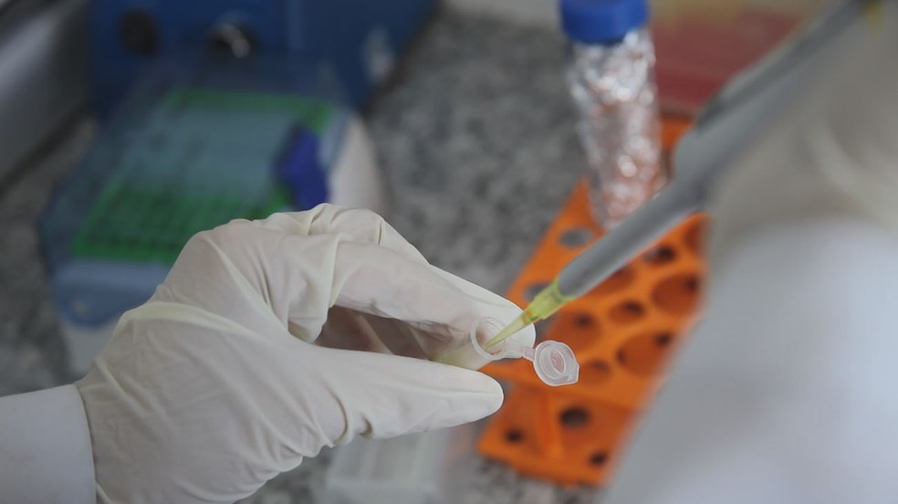 UFMG desenvolve vacina contra vício em crack e cocaína — Foto: Divulgação/Faculdade de Medicina da UFMG