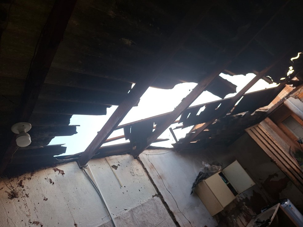 Forte chuva atinge Teodoro Sampaio e provoca quedas de árvores — Foto: Reprodução/Defesa Civil