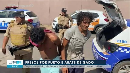 Três homens são presos por furto e abate de gado no interior do Tocantins