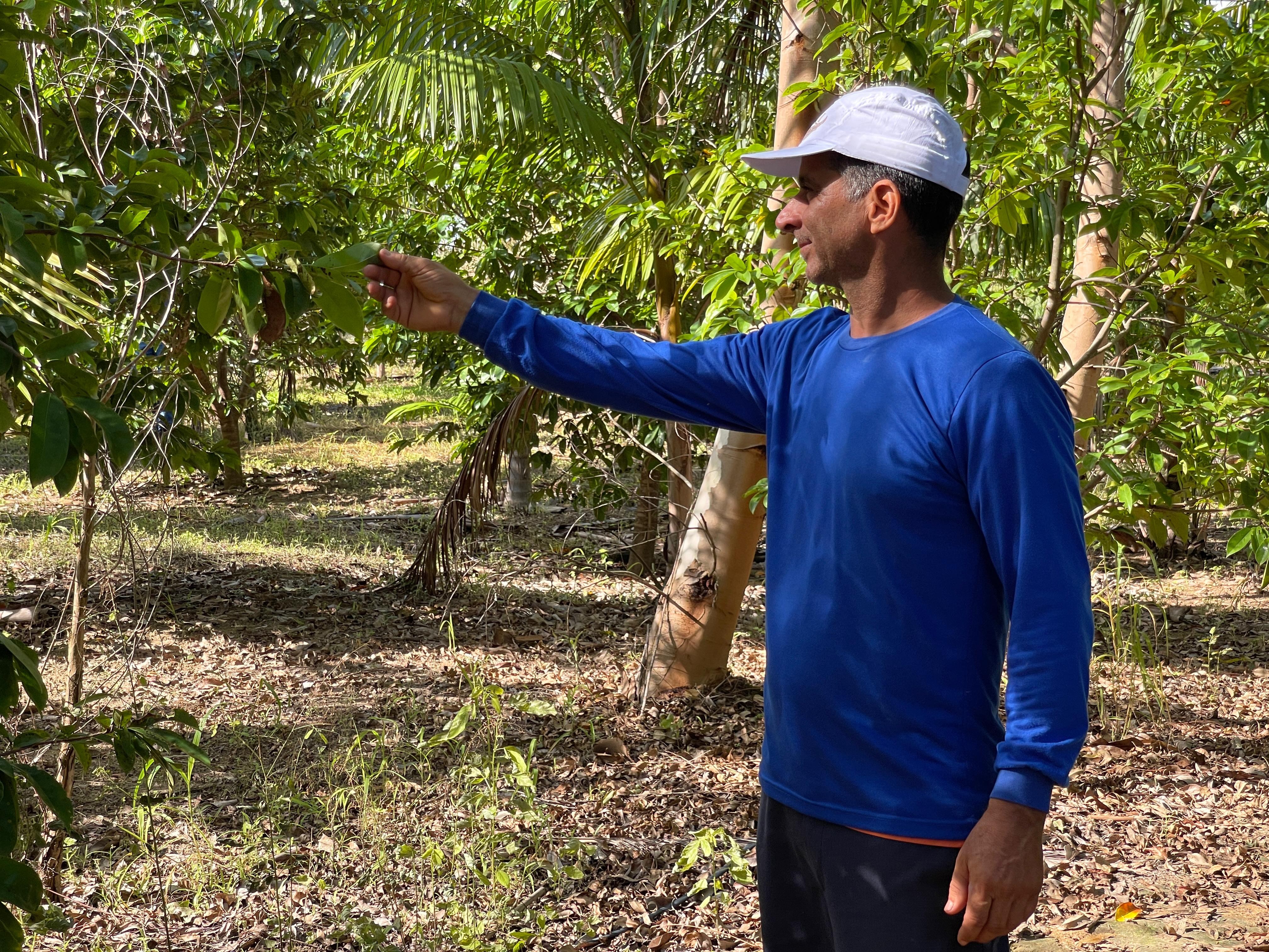 De eletricista a produtor rural: agricultor aposta em mais de 20 culturas e sonha com expansão