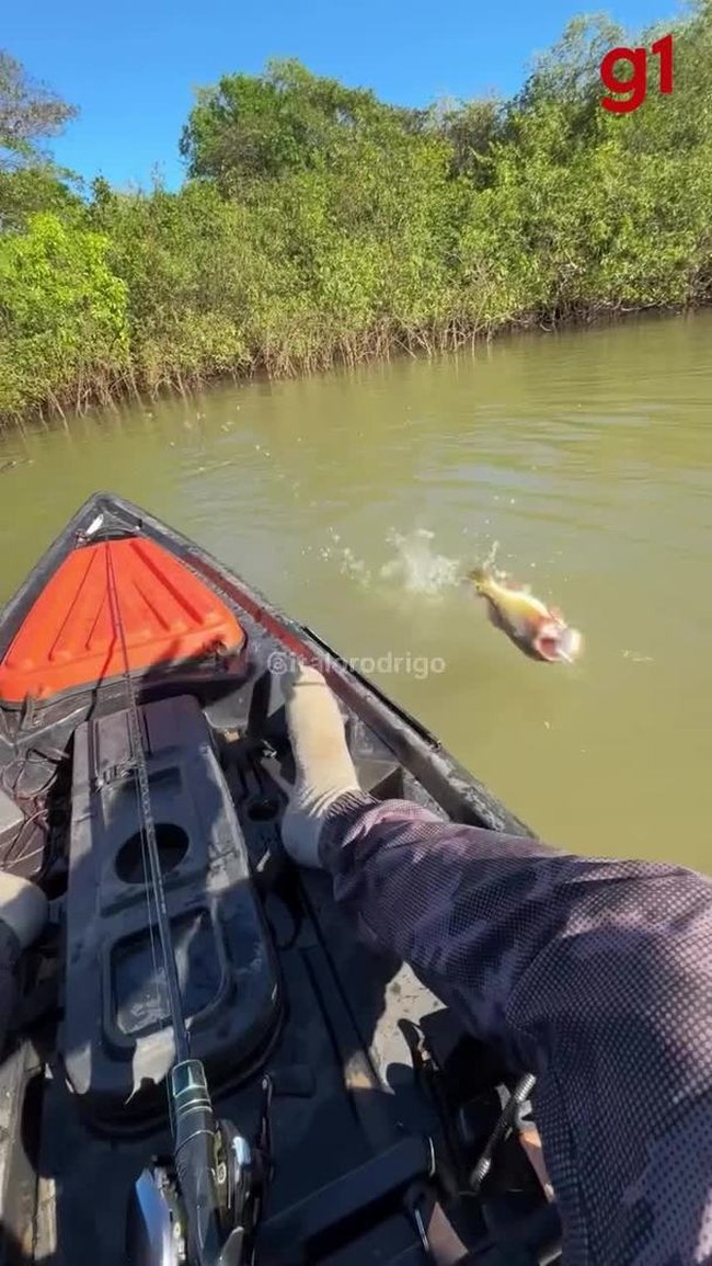 Homem morre afogado enquanto nadava em praia de Palmas, dizem testemunhas