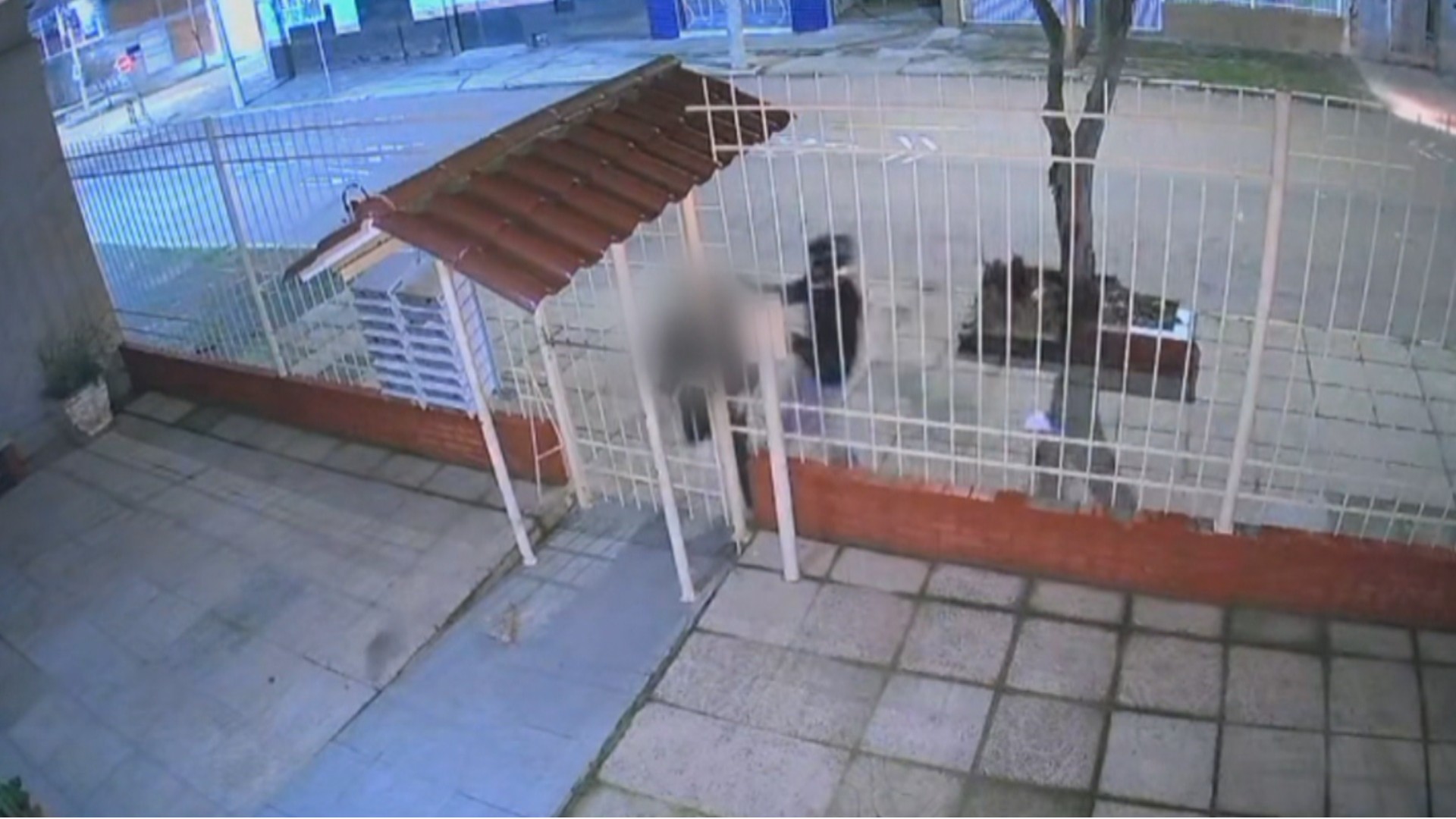 Jovem é agredido ao tentar voltar para casa durante assalto em Porto Alegre: 'chutou o meu rosto', relata