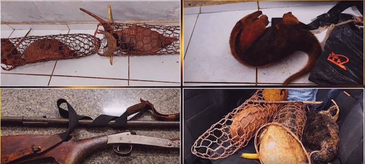 Polícia prende dois homens por caça ilegal na BR-230, em Pastos Bons; eles foram liberados após fiança