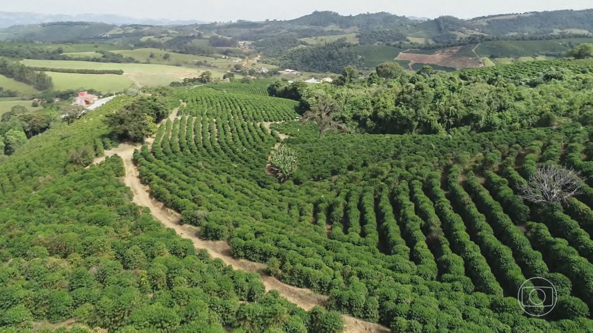 Brasil lidera coalizão para mercado de carbono