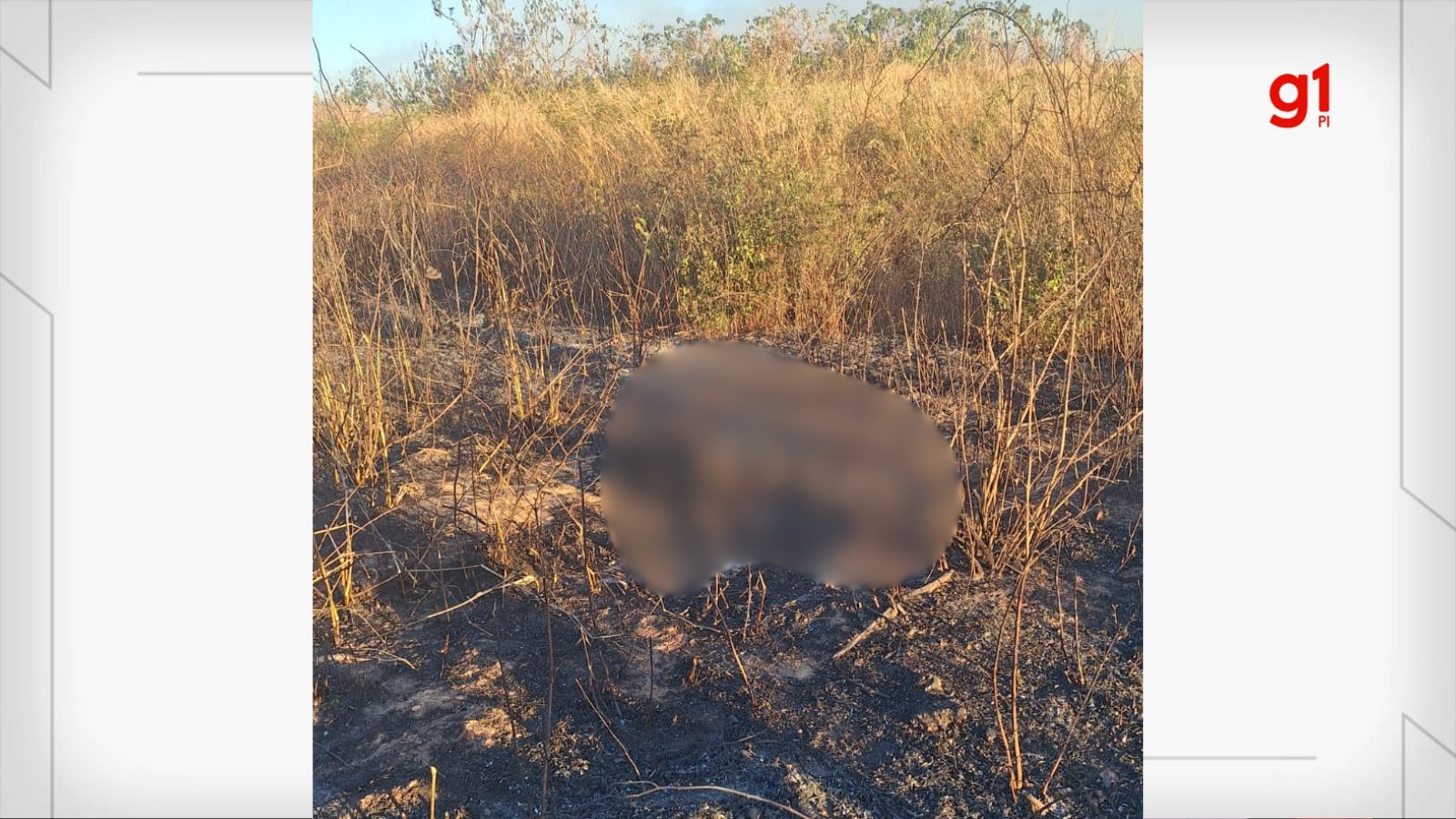 Ossada humana é encontrada durante combate a incêndio no interior do PI