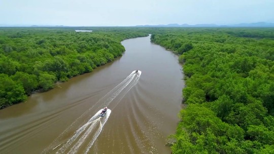 ‘Pantanal Fluminense’: conheça a área ultrapreservada na Baía de Guanabara, a 10 km de Paquetá - Estação Ecológica é um pedaço ainda mais intocado da Área de Proteção de Guapimirim.