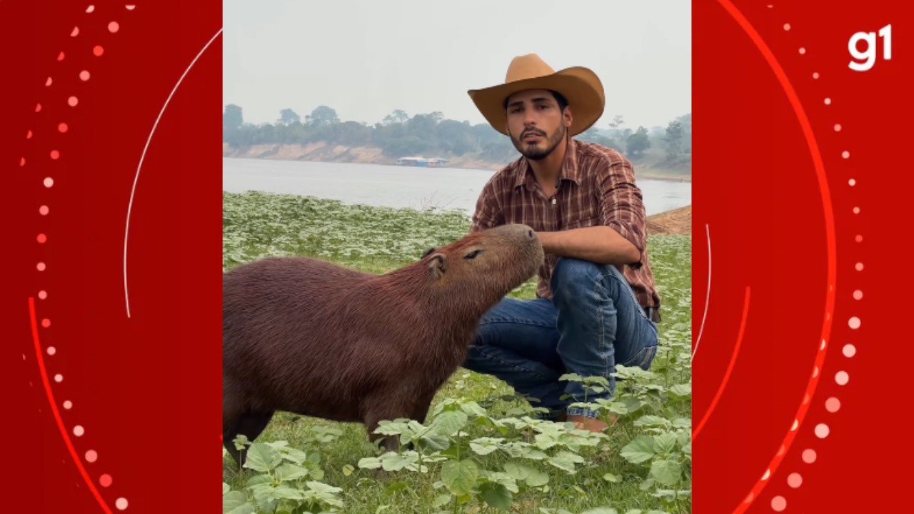 'A gente não vai desistir dessa luta', diz influenciador após Justiça determinar devolução de capivara Filó ao Ibama