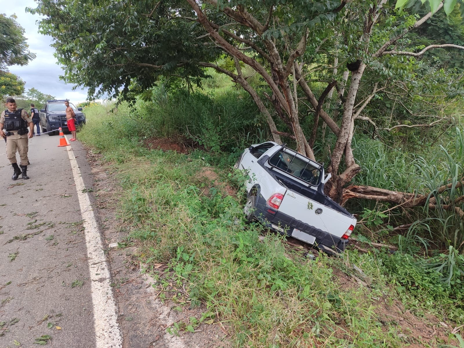 Mulher morre após caminhonete bater contra árvore na MGC-311, em Nova Módica