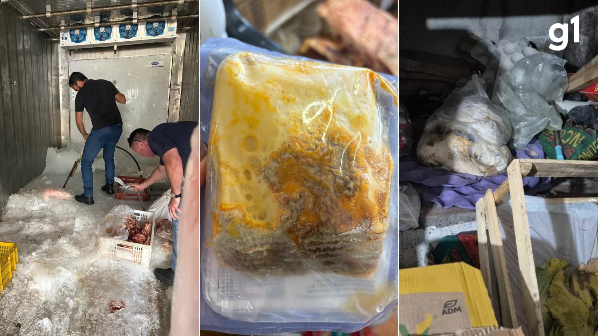 Queijo mofado, produtos vencidos e alimentos sem origem: 2,3 toneladas são apreendidas e local é interditado no Norte do RS