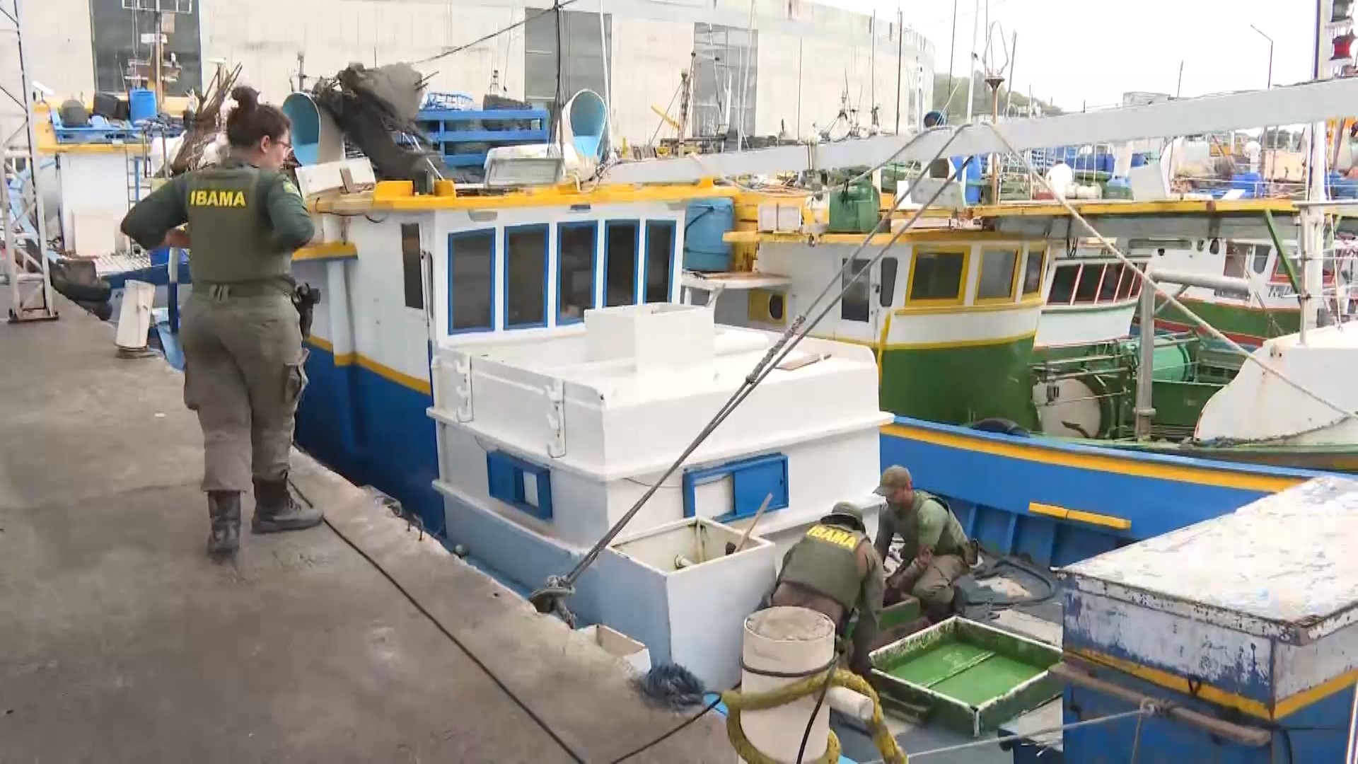 Ibama fecha porto e aplica R$ 22 milhões em multas por pesca irregular no ES e RJ