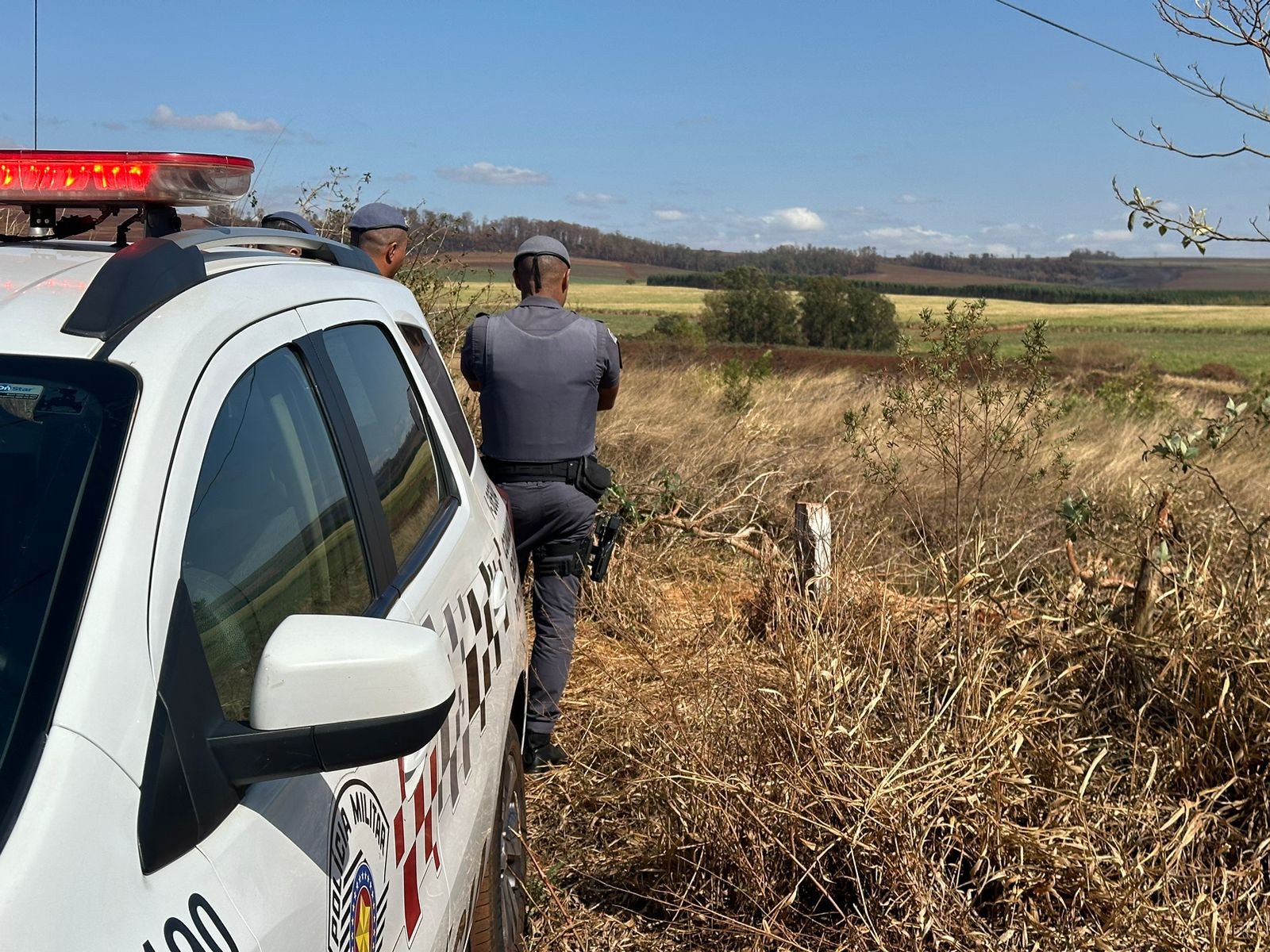 Cadáver é achado sem arcada dentária e com calças abaixadas em área rural de Limeira: 'vai dificultar identificação', diz PM