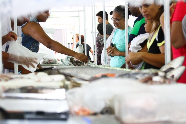 Como identificar peixe fresco e de qualidade para a Semana Santa