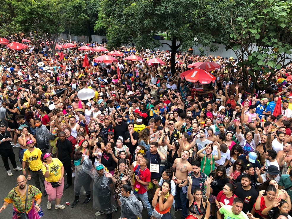 Blocos Baixo Augusta, Pasmado e Monobloco desfilam neste domingo de pré- carnaval em SP; veja lista completa, Carnaval 2024 em São Paulo