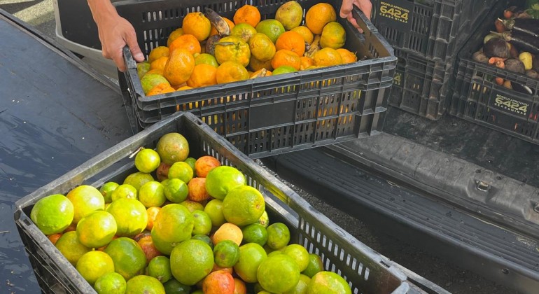 Banco de Alimentos de BH inicia recadastramento de instituições; veja prazo e detalhes
