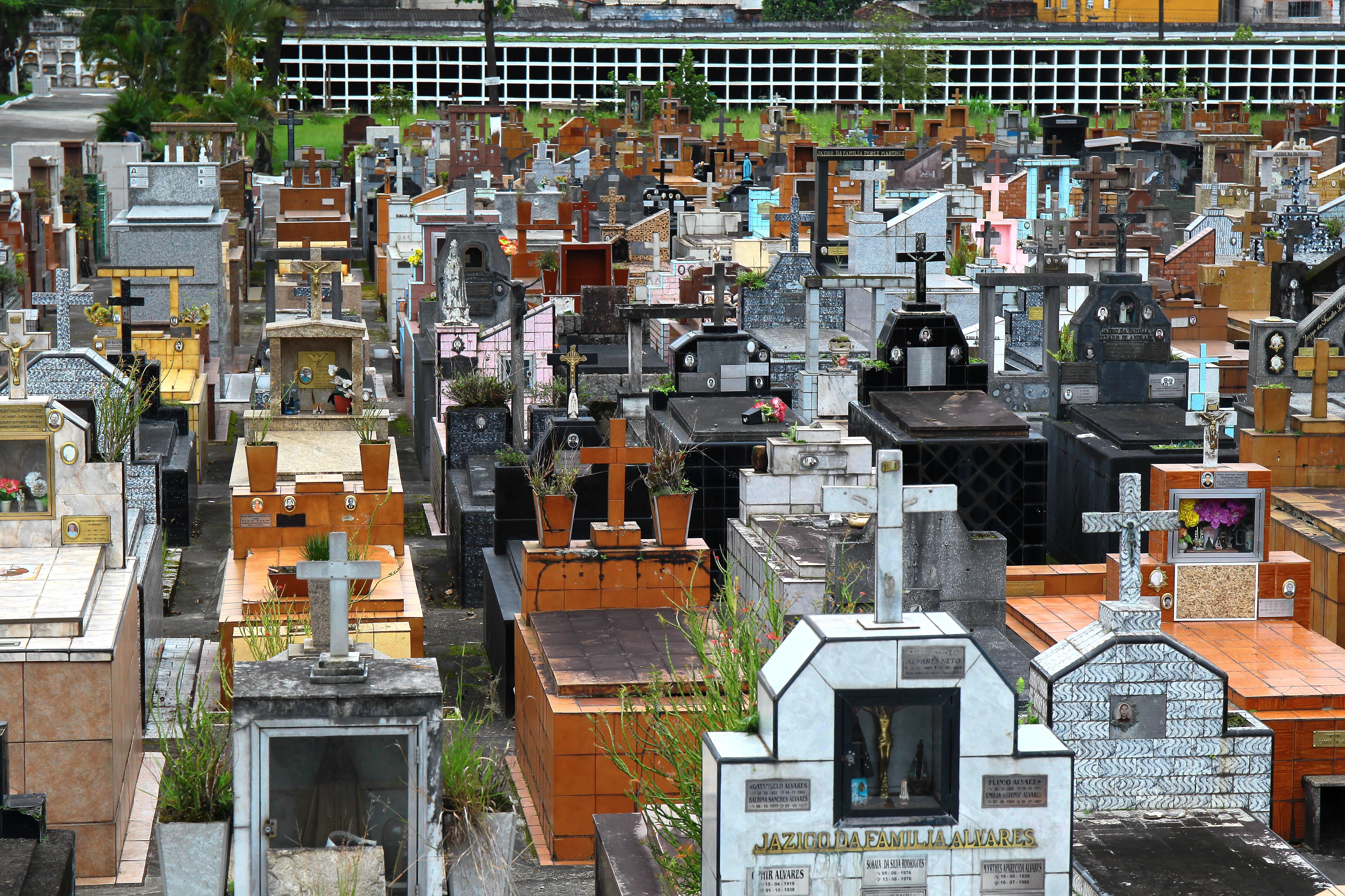 Nova lei permite enterro de pets em cemitérios de Santos; entenda