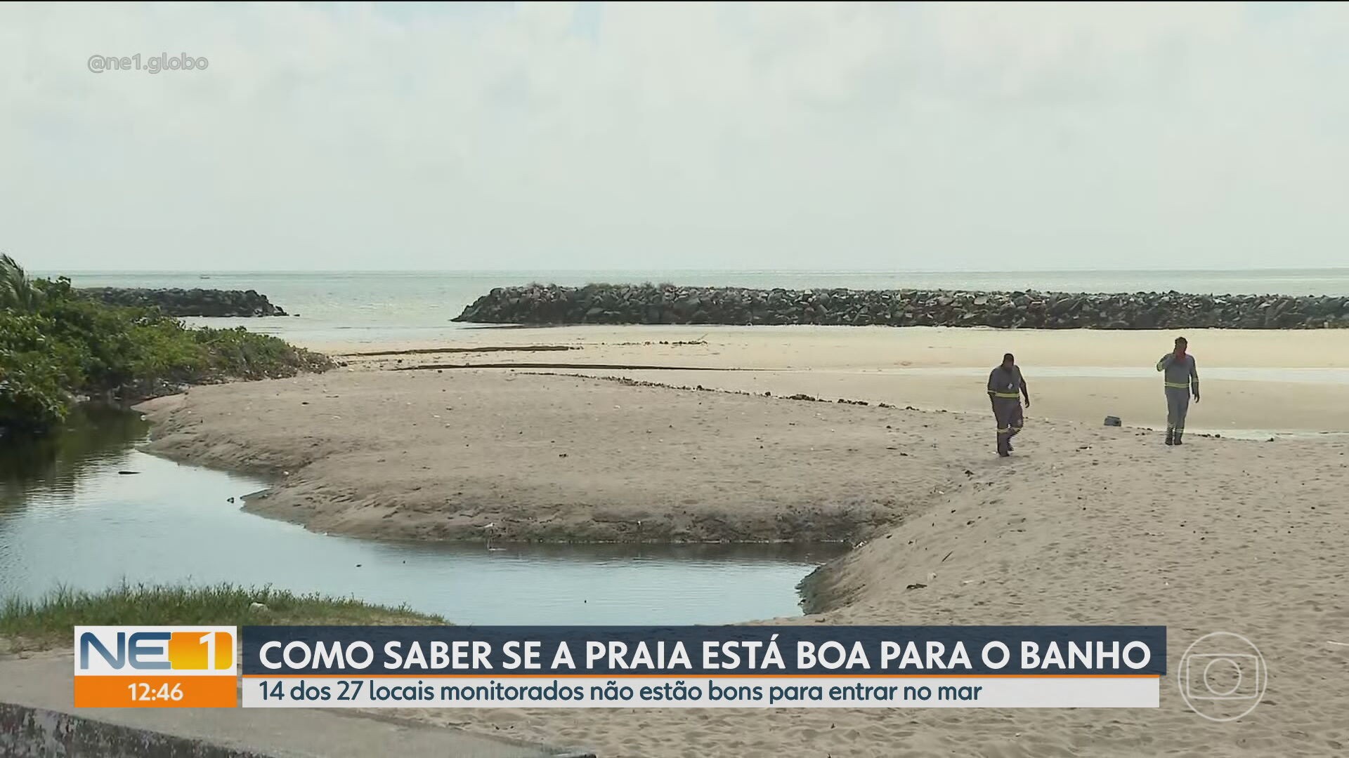 VÍDEOS: NE1 de quarta-feira, 9 de setembro de 2026