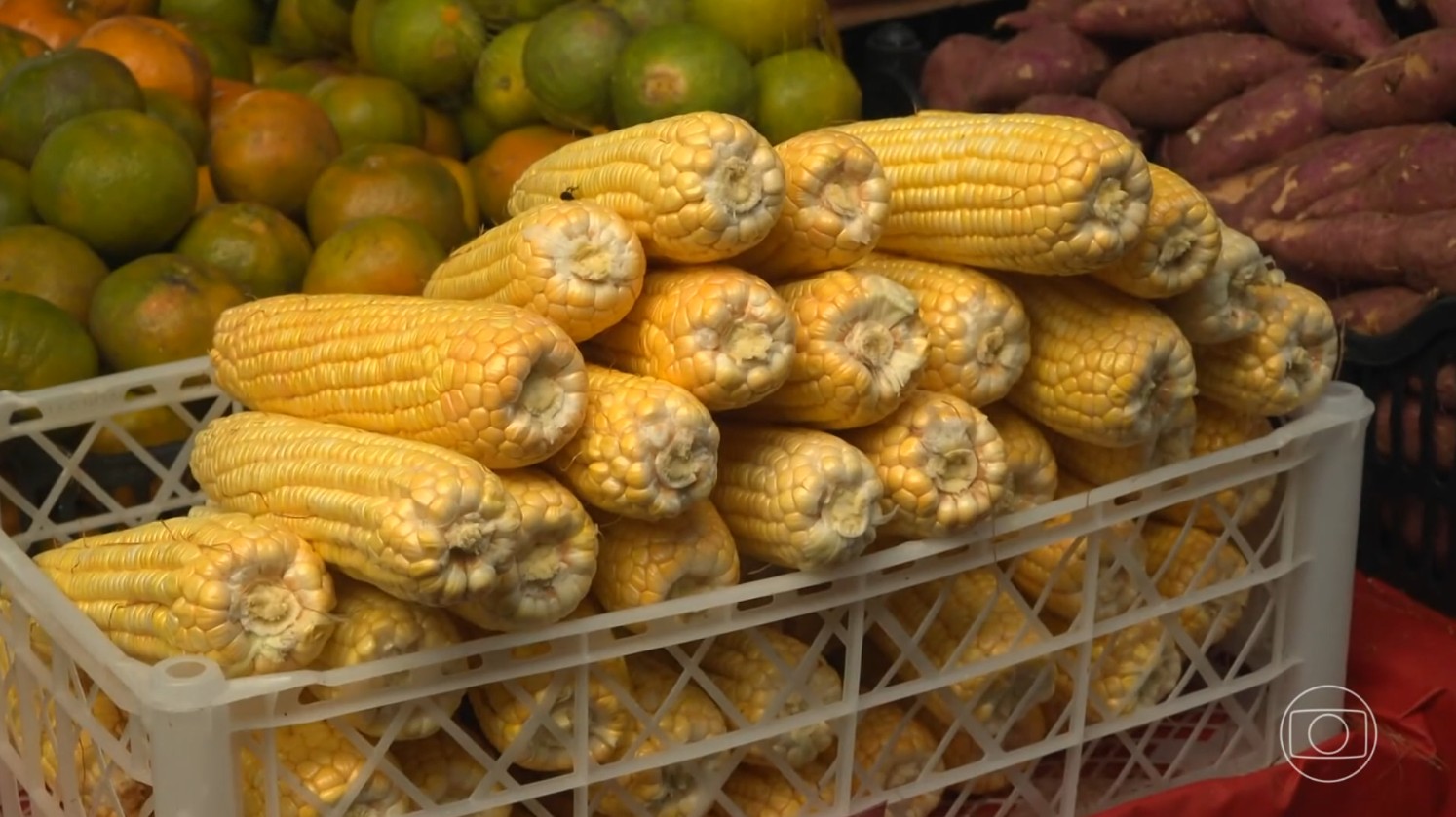 Preço do milho sobe mais de 30% na Paraíba com a seca e coloca em risco um dos principais ingredientes do São João