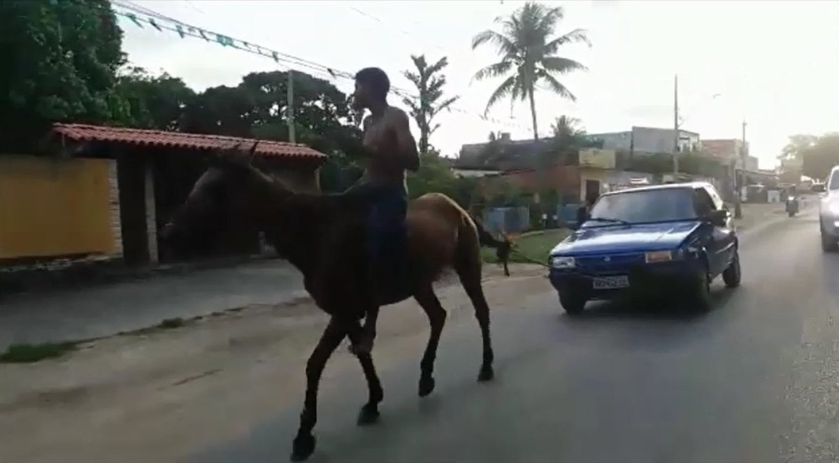 Motorista é flagrado puxando cavalo com corda ao lado de carro em