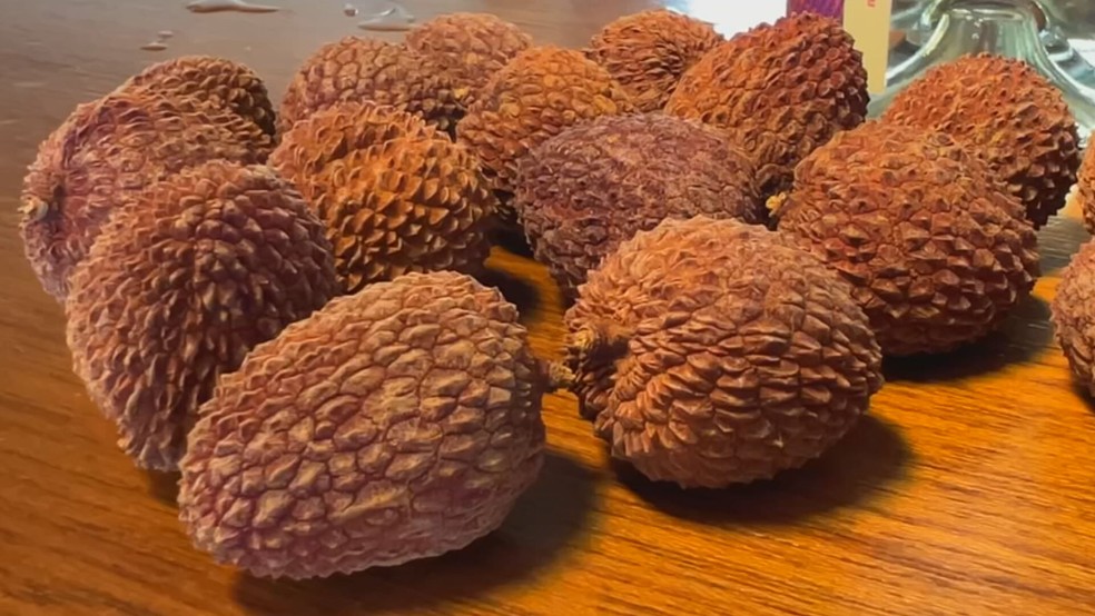 Produtores de lichia ampliam mercado e apostam em novos produtos para reduzir perdas — Foto: Reprodução / TV TEM