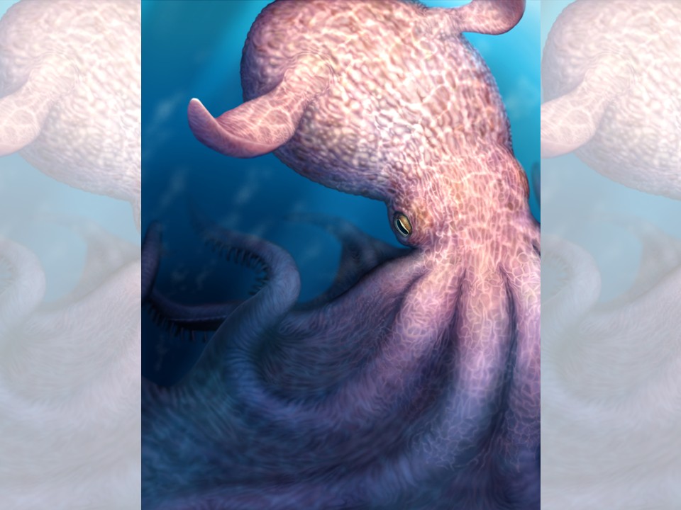 Polvos gigantes de até 19 metros caçavam répteis marinhos há 100 milhões de anos