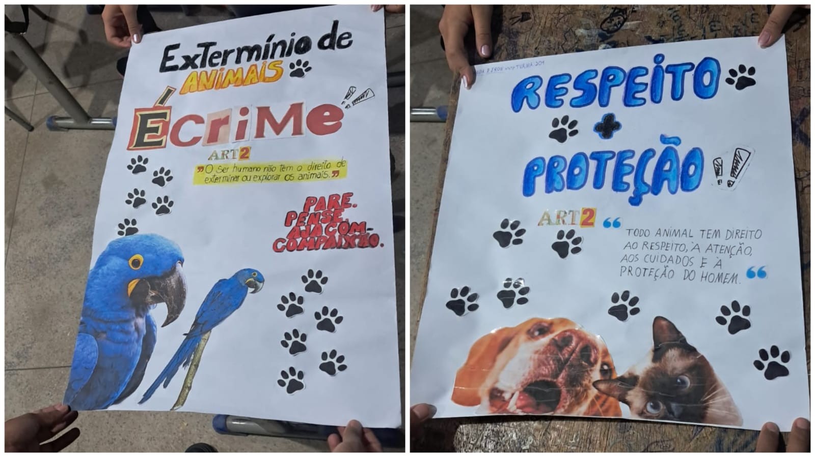 Estudantes participam de bate-papo com veterinário sobre abandono de animais