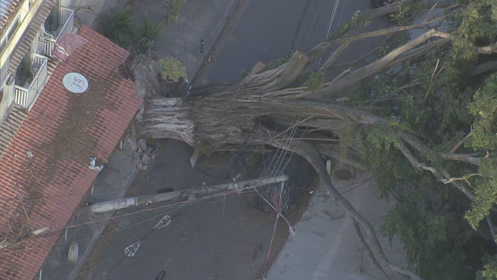 Força do vento derruba árvore na Rua da Chegada, transversal a Avenida Gilka Machado, no Recreio dos Bandeirantes, e atinge carro — Foto: Reprodução/TV Globo