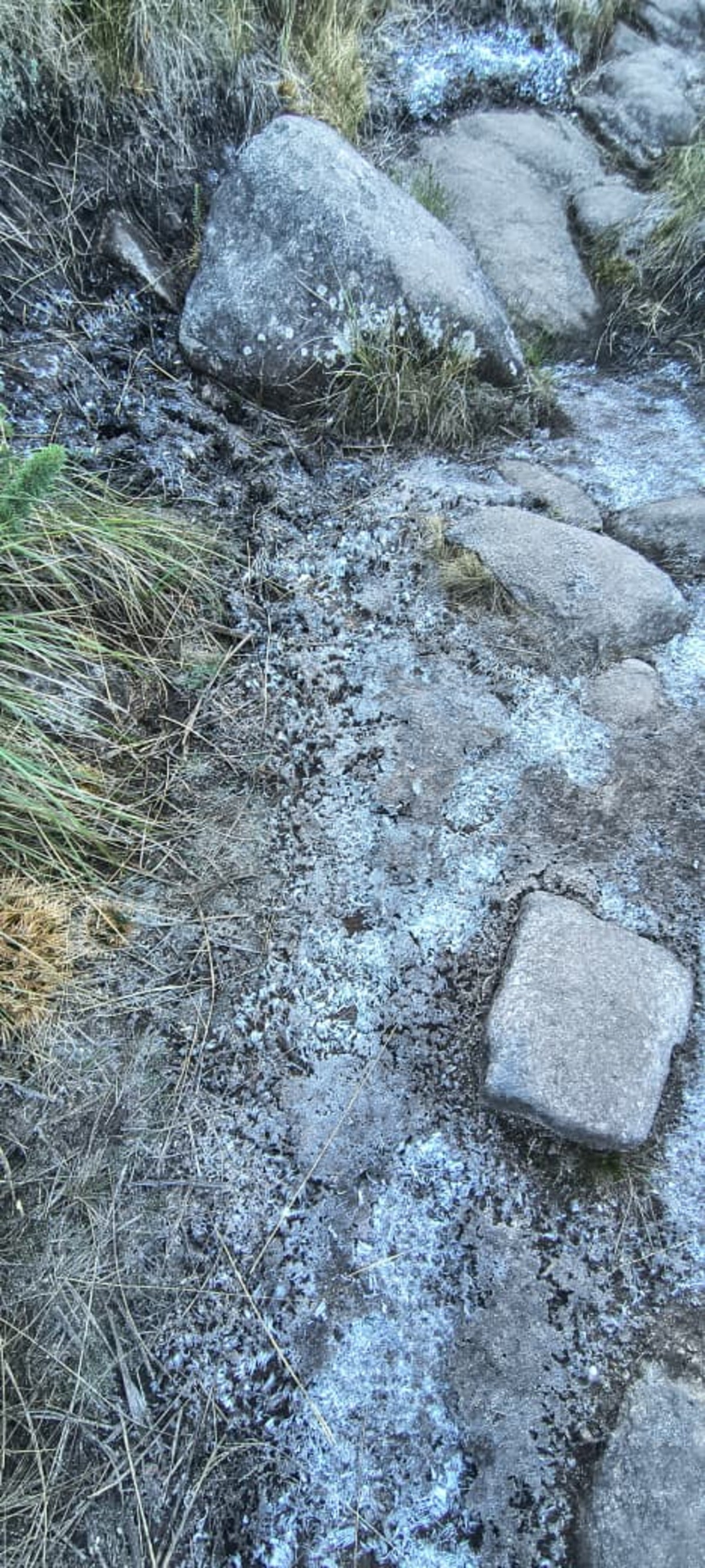 VÍDEO: Com -4,4°C, Parque Nacional do Itatiaia registra meno